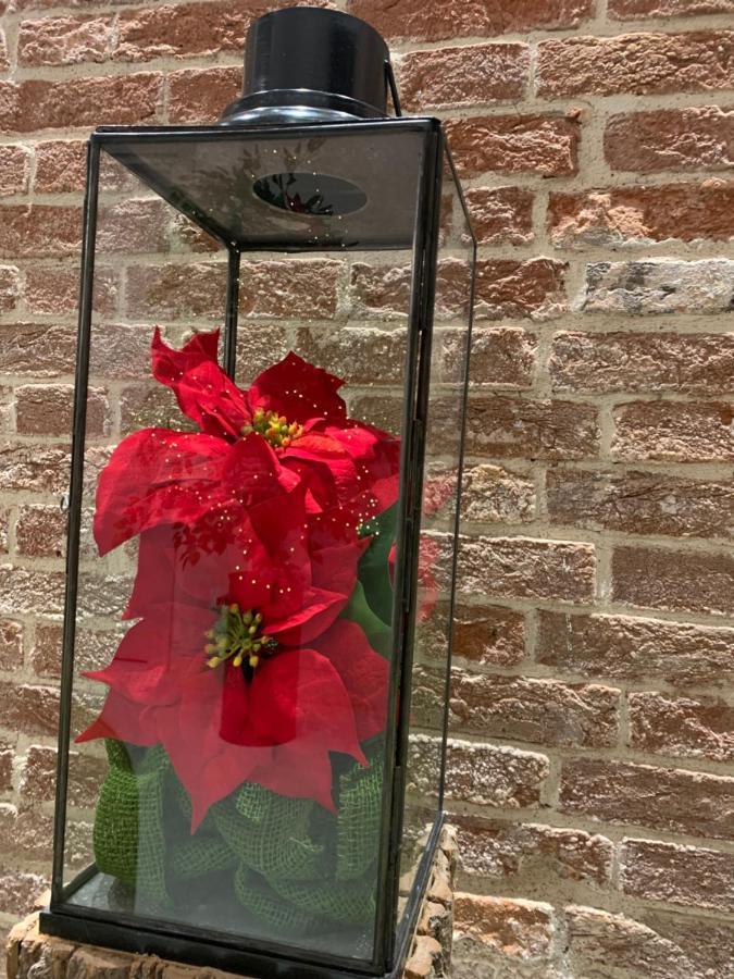 Al Pozzo Di Luce Venezia Suites 外观 照片